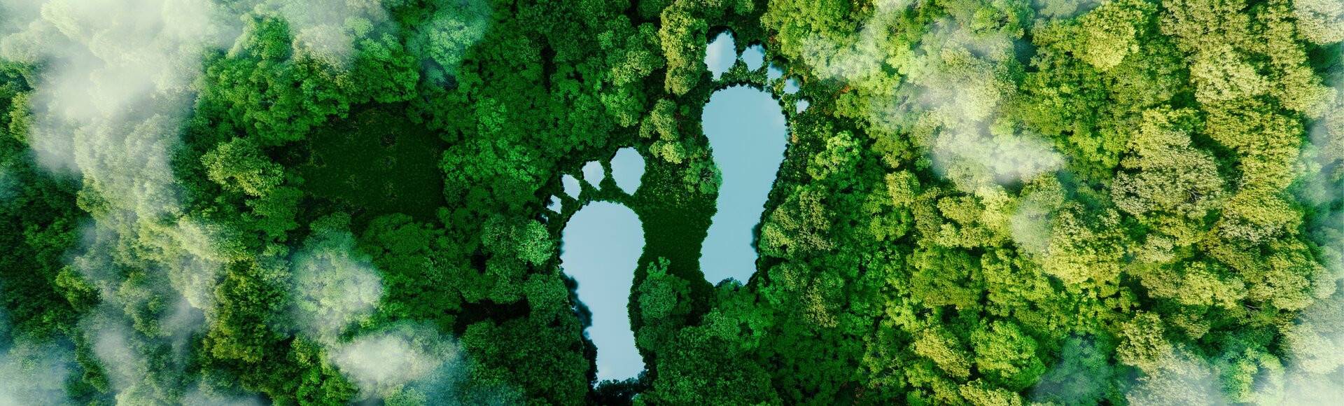 Grüner, dichter Wald von oben mit großen, mit Wasser gefüllten Fußabdrücken